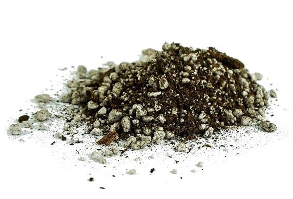 JF CARNIVOROUS PLANT SOIL 1 QT