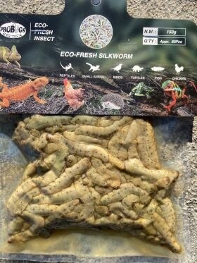 Probugs Silkworms 150 GRAM