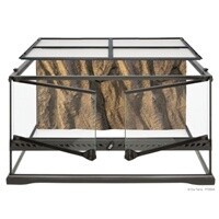 HAG EXO-T GLASS TERR 24X18X12