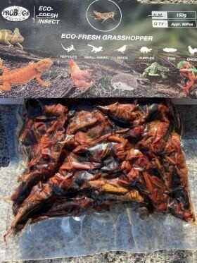 PROBUGS GRASSHOPPER  150 GRAM