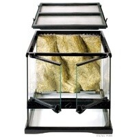 HAG EXO-T GLASS TERR 12X12X12