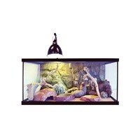 *EXO TERRA BEARDED DRAGON ADULT KIT