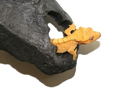 PT HIDEAWAY GRANITE SM