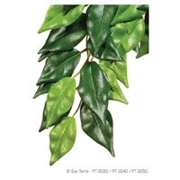 HAG EXO-T SILK FICUS LG