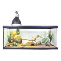 *EXO TERRA BEARDED DRAGON JUVENILE KIT