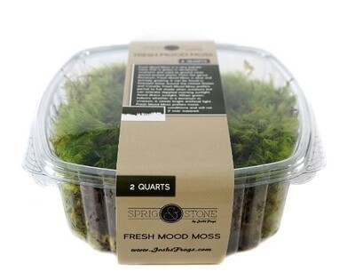 JF MOOD MOSS 2QT