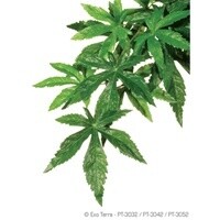 HAG EXO-T SILK ABUTILON LG