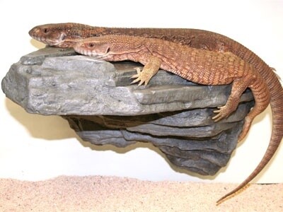 PT GRANITE LEDGE LG