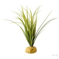 HAG EXO-T TURTLE GRASS PLANT