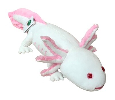 APC FRILLS THE AXOLOTL