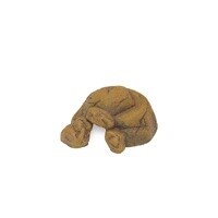 HAG EXO-T REPTILE CAVE SM