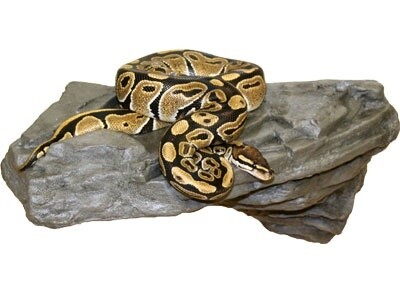 PT GRANITE LEDGE LG