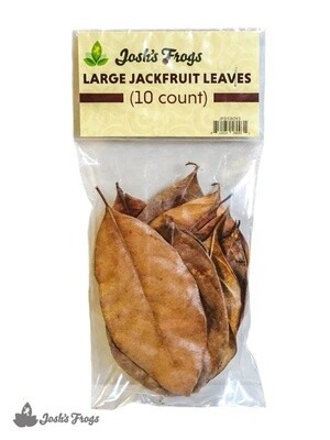 JF LEAF LITTER JACKFRUIT