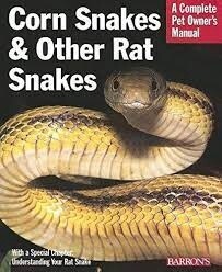 BAR CORN SNAKES AND OTHER RAT SNAKES POM
