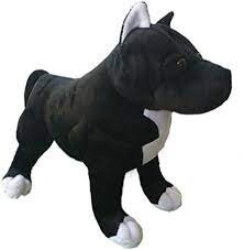 APC CHANCE THE PIT BULL
