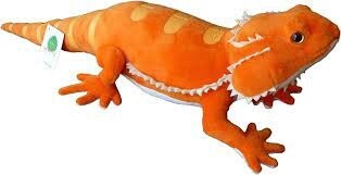 APC CARROT THE BEARDED DRAGON