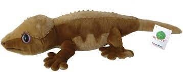 APC LASHES THE CRESTED GECKO