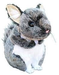 APC GIZMO THE CHINCHILLA