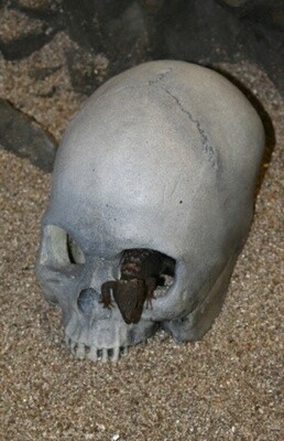 PT SKULL CAVE GREY