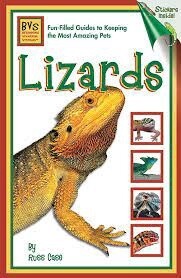 AVS LIZARDS