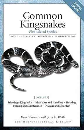 AVS COMMON KINGSNAKES
