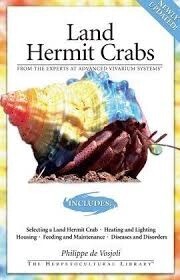AVS LAND HERMIT CRABS