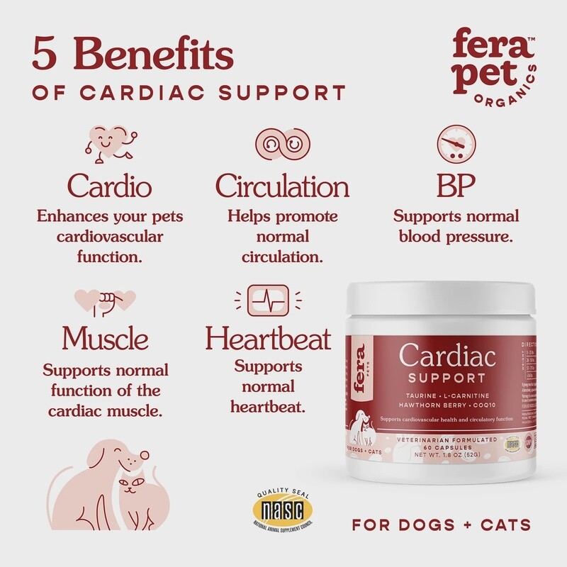 FERA CARDIAC CAPSULE