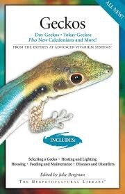 AVS GECKOS