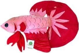 APC LUNA THE BETTA FISH