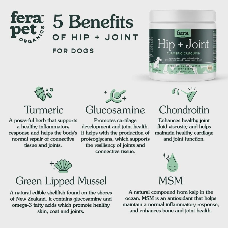 FERA HIP+JOINT