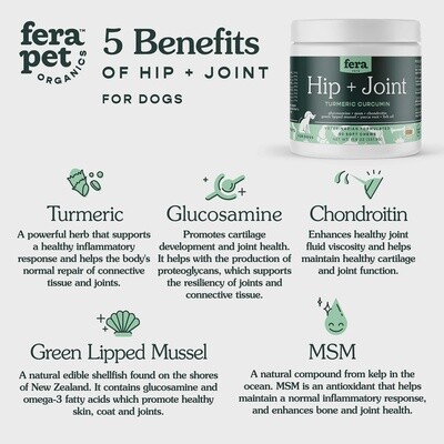 FERA HIP+JOINT