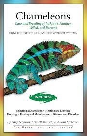 AVS CHAMELEONS CARE AND BREEDING