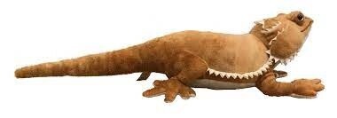 APC POGO THE BEARDED DRAGON
