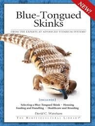AVS BLUE-TONGUED SKINKS