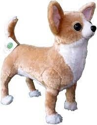 APC TACO THE FARTING CHIHUAHUA