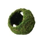 GAL MOSSY CAVE W HOLES 7.5&quot;