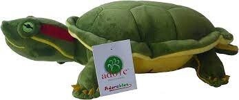 APC SHELLY THE RED EARED SLIDER