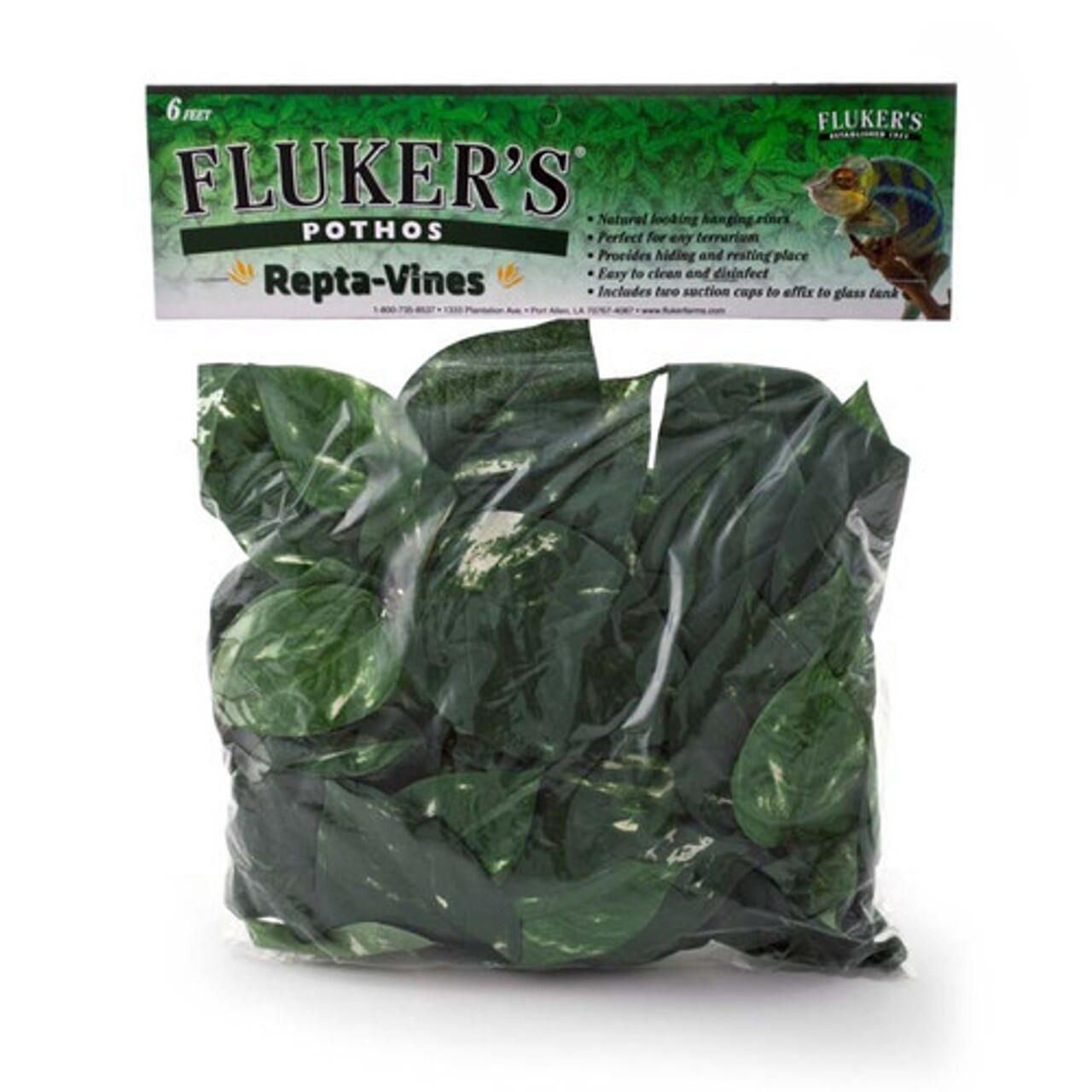 FL 6 FT REPTAVINE POTHOS