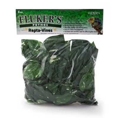 FL 6 FT REPTAVINE POTHOS