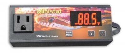 VE MINISTAT