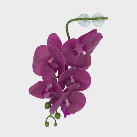 PANGEA ORCHID PURPLE