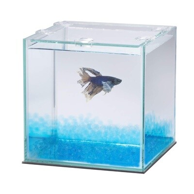 AQ BETTA BEADS BLUE 350ML