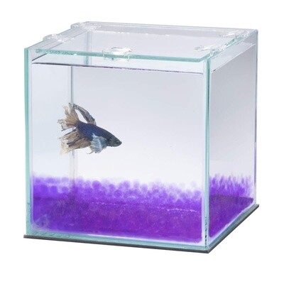 AQ BETTA BEADS PURPLE 350ML
