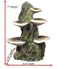 PPX MUSHROOM MD