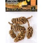 GAL MAGNOLIA SEED PODS 5 CT
