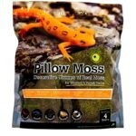 GAL PILLOW MOSS 4 QT