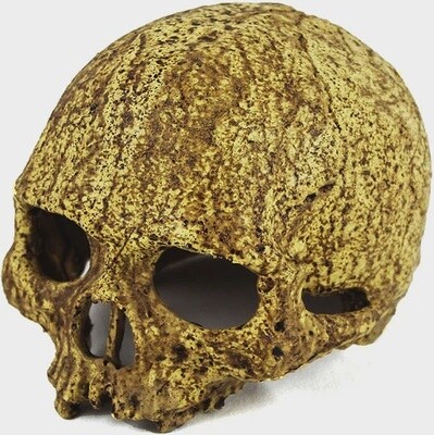 PANGEA SKULL CAVE