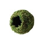 GAL MOSSY CAVE 4 IN GREEN
