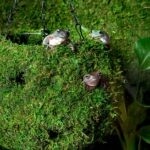 GAL MOSSY DOME 18" JUMBO