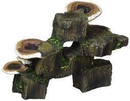 PPX MUSHROOM SM